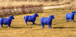 Beschreibungstext muss eingefügt werden